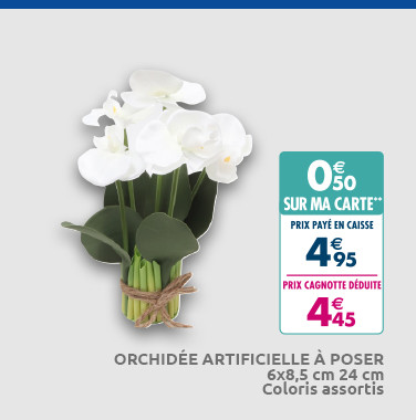 Carrefour Réunion